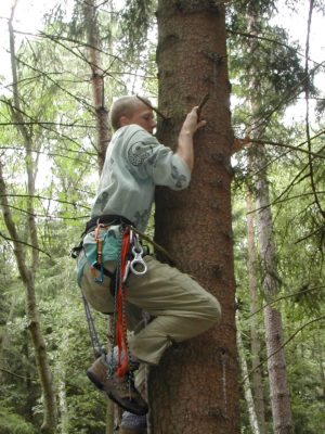 Běžný způsob lezení na stromy