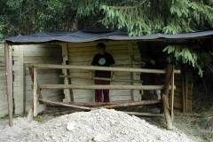 DSCN4196